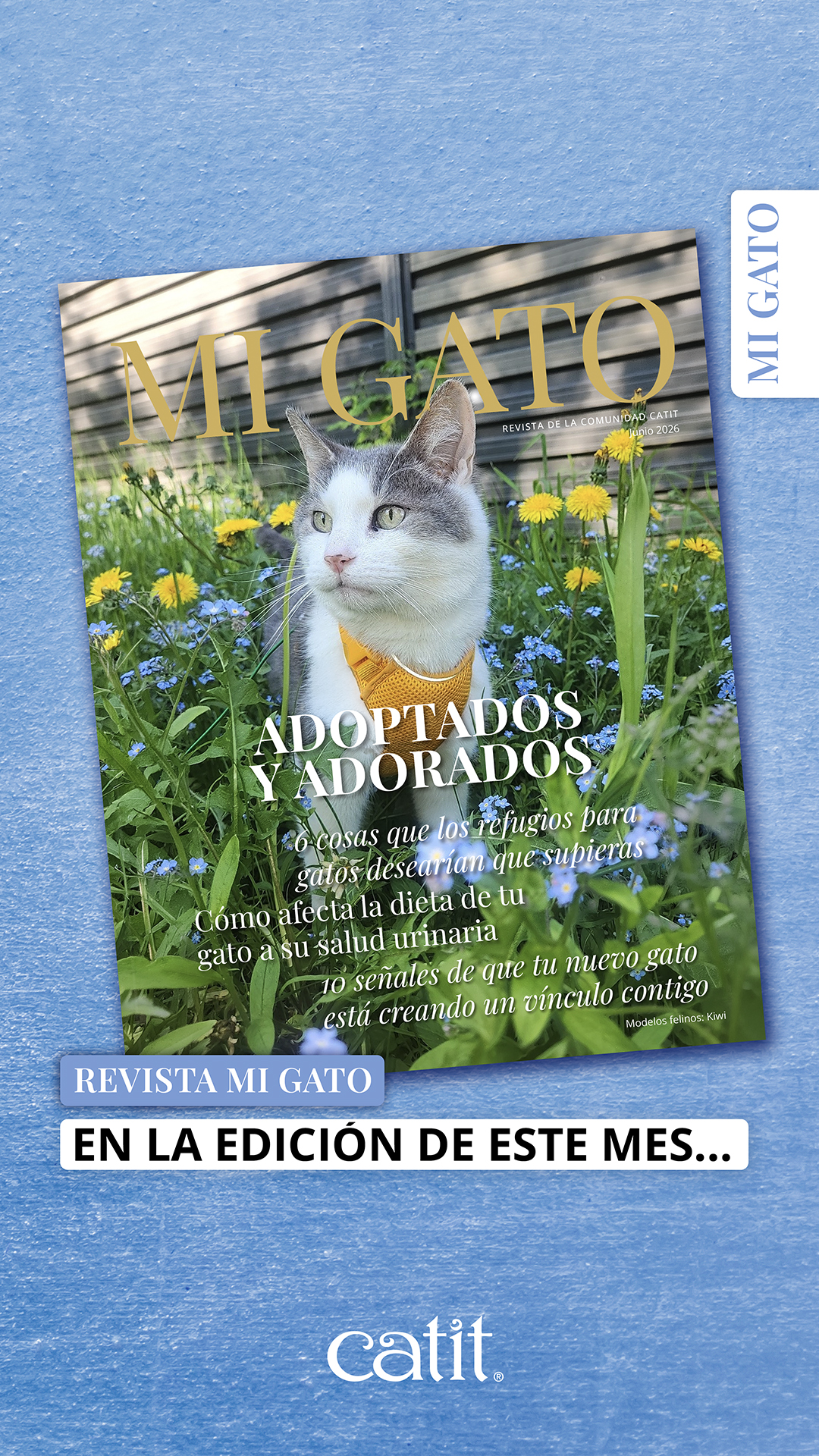 Catit España Facebook ad