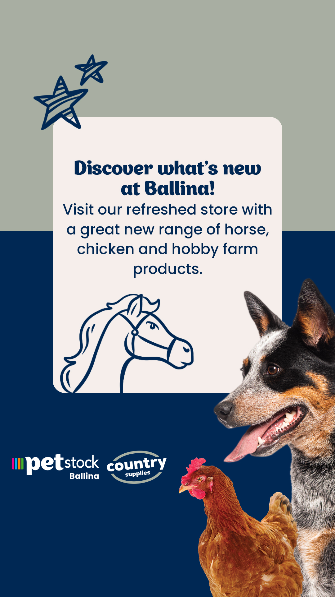 Petstock Facebook ad
