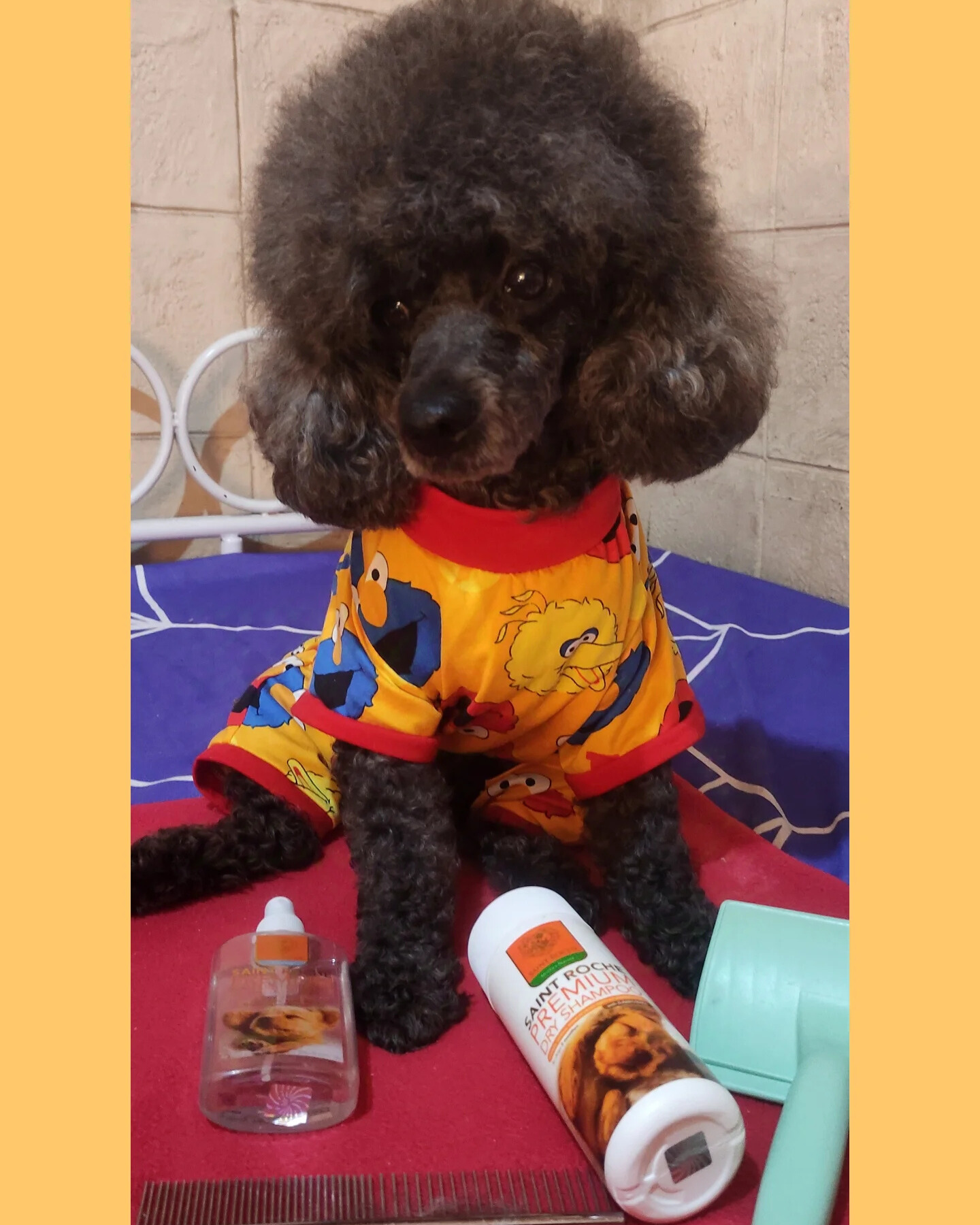 Saint Roche Premium Dog Shampoo Facebook ad