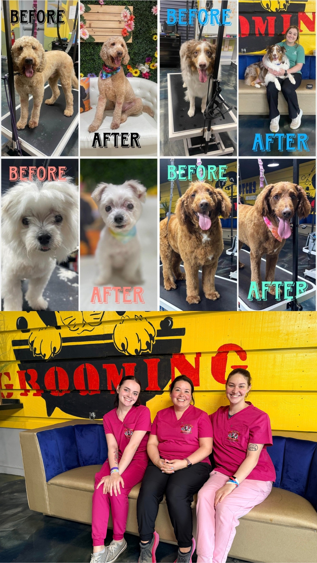 OTCK9 Grooming Academy Facebook ad: 50% OFF Professional Dog Grooming!