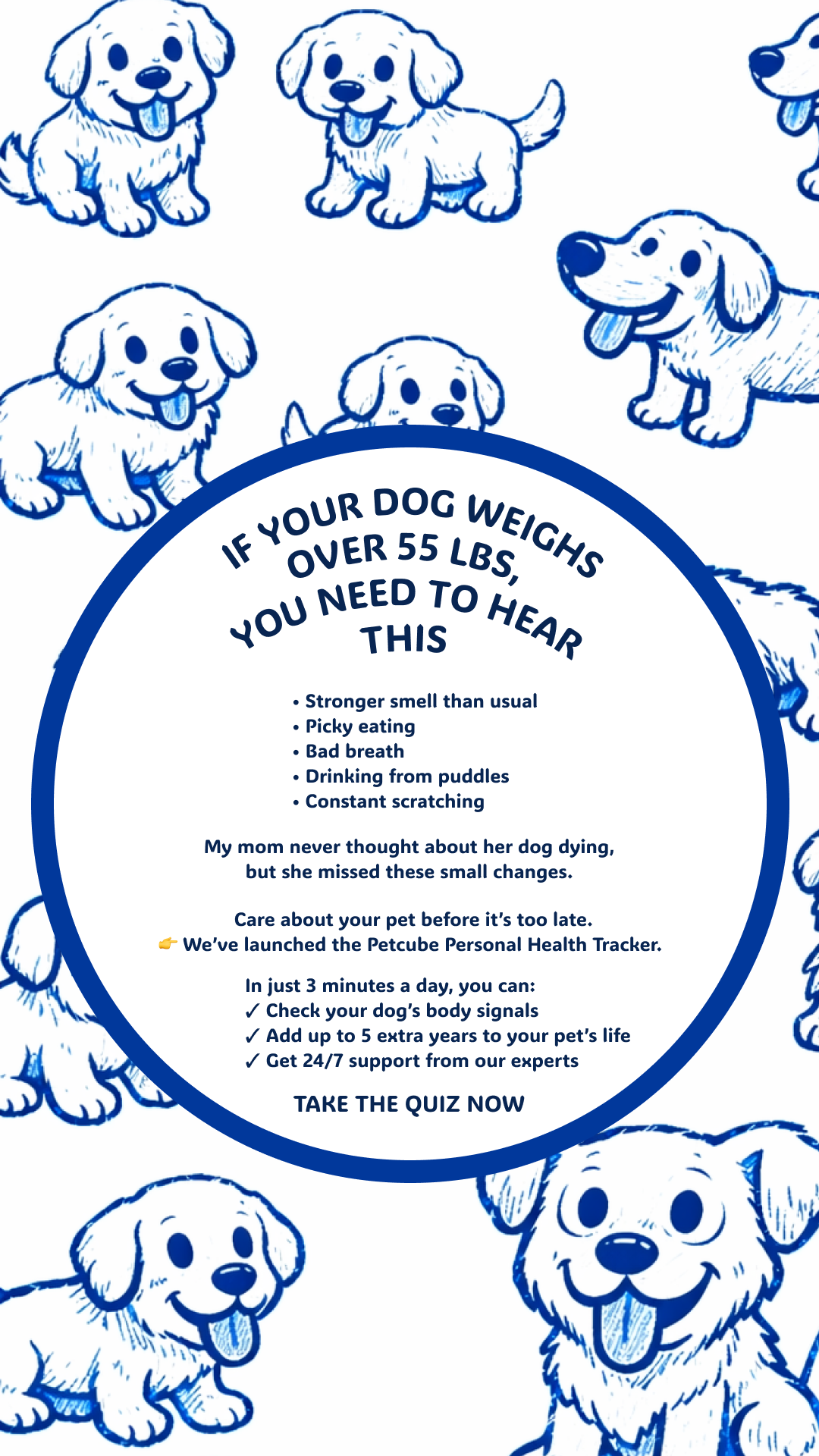 Petcube Facebook ad