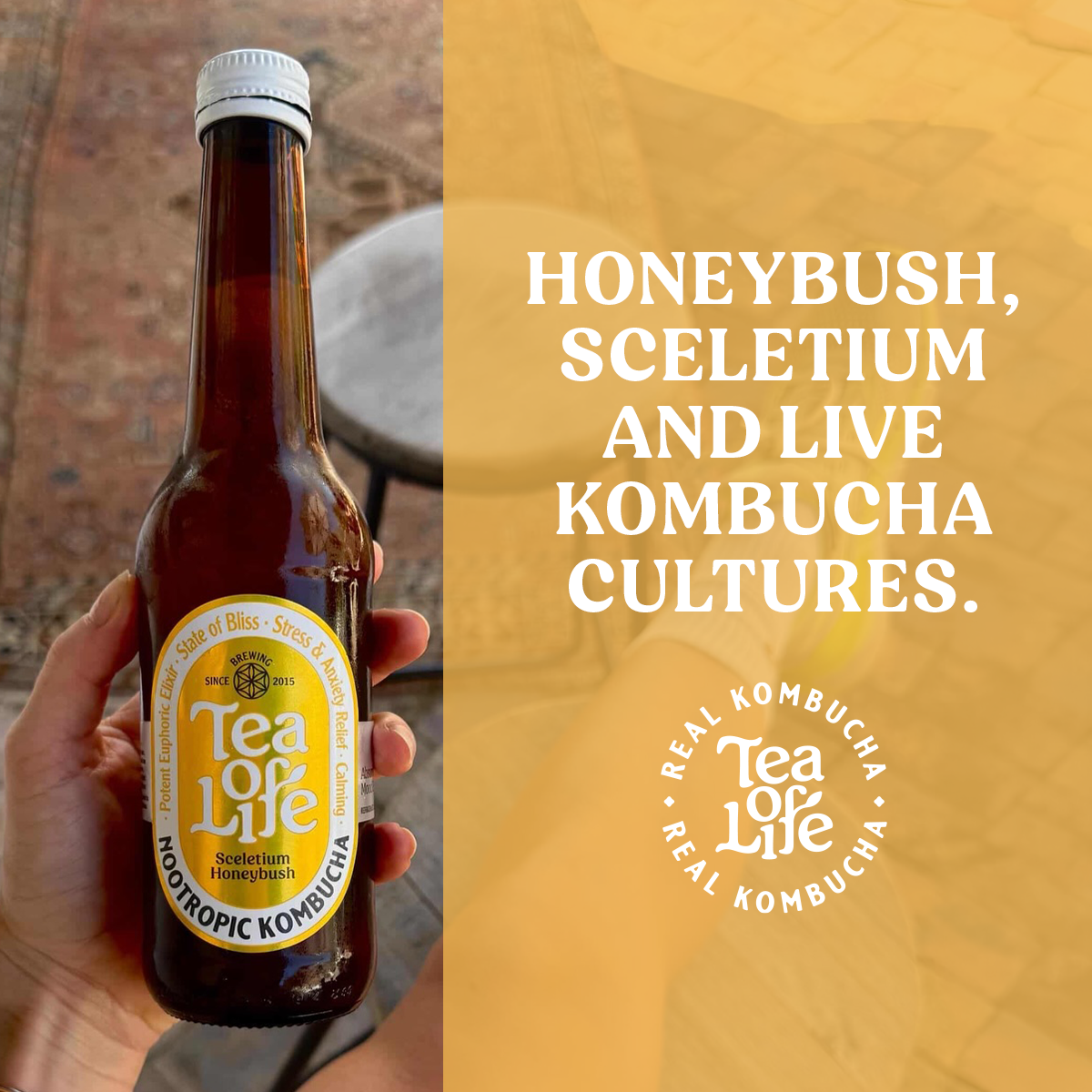 Tea of Life Raw Kombucha Facebook ad: Honeybush, Sceletium & Live Cultures