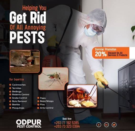 Odpur Pest Control Facebook ad