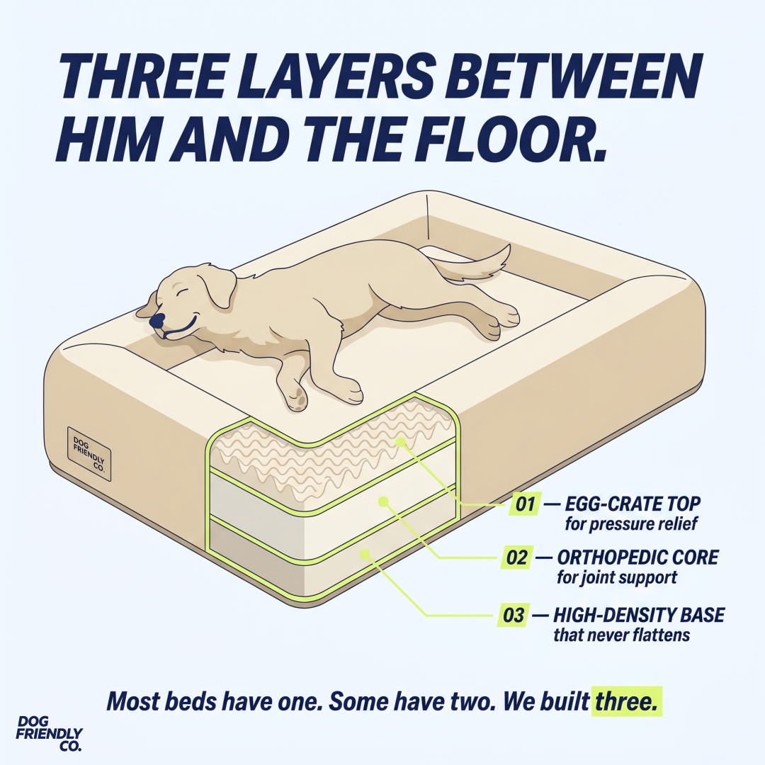 Dog Friendly Co. Facebook ad