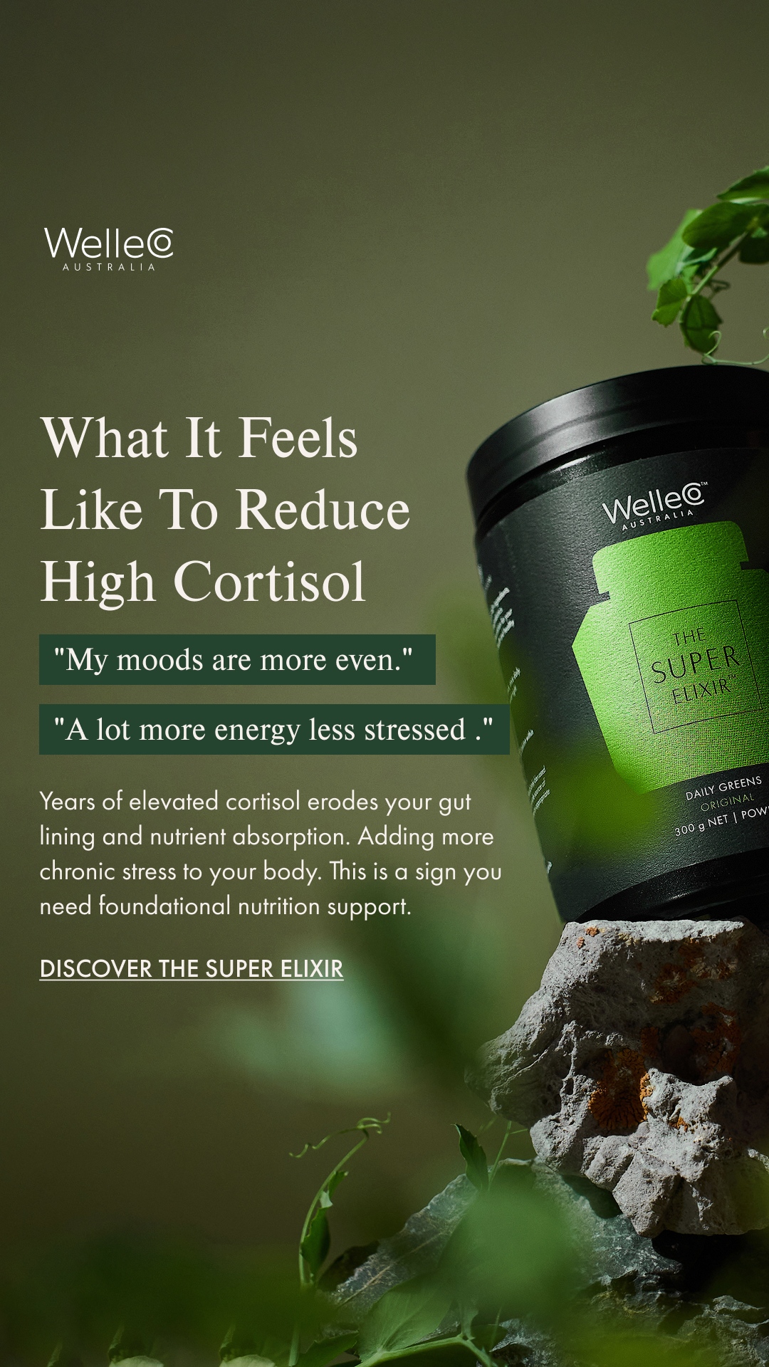 WelleCo Facebook ad