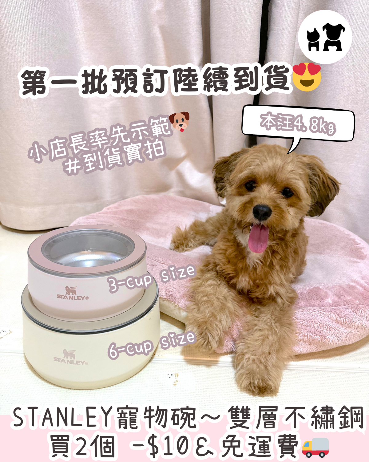 PAW-EVER Facebook ad