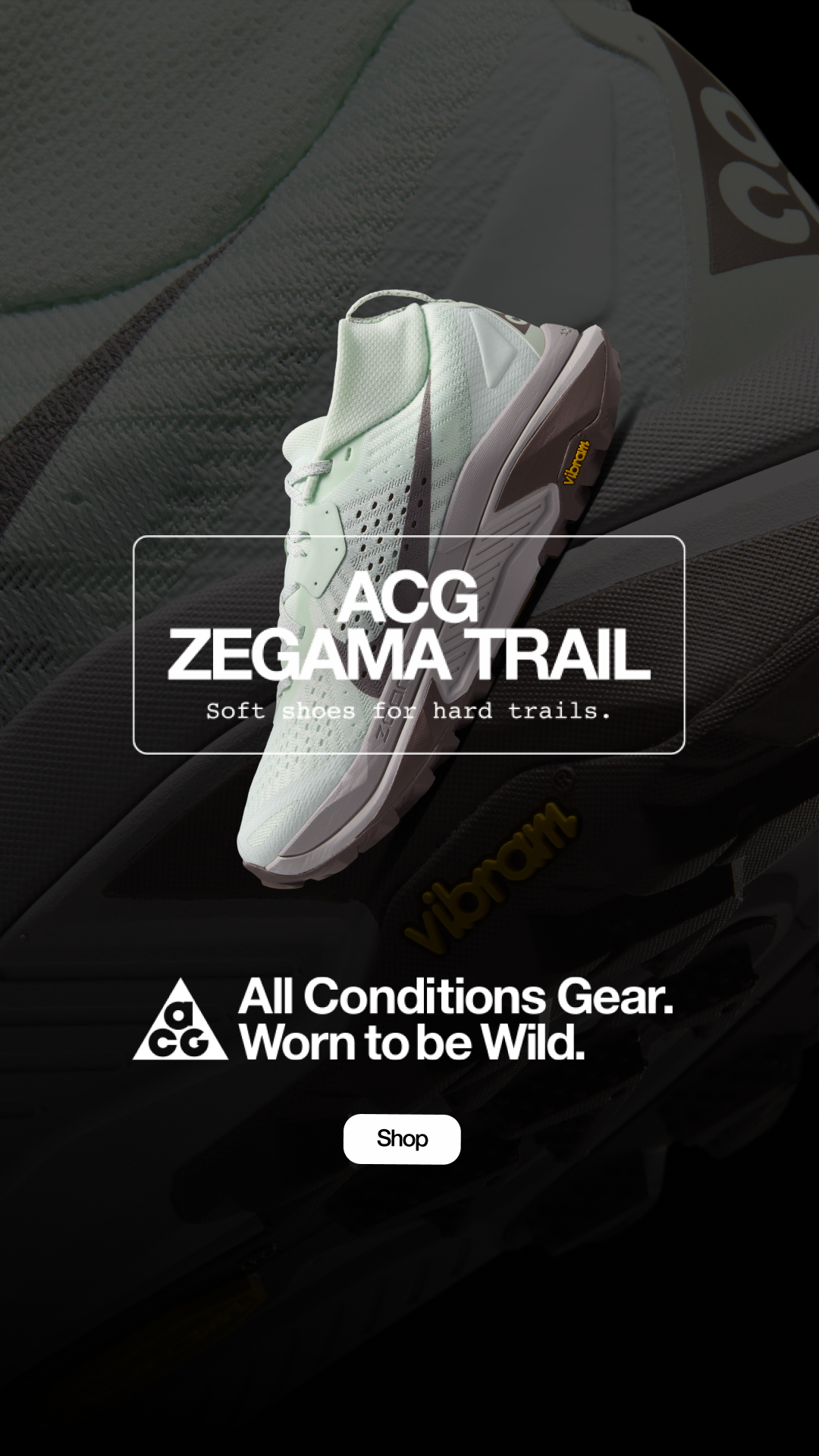 REI Facebook ad