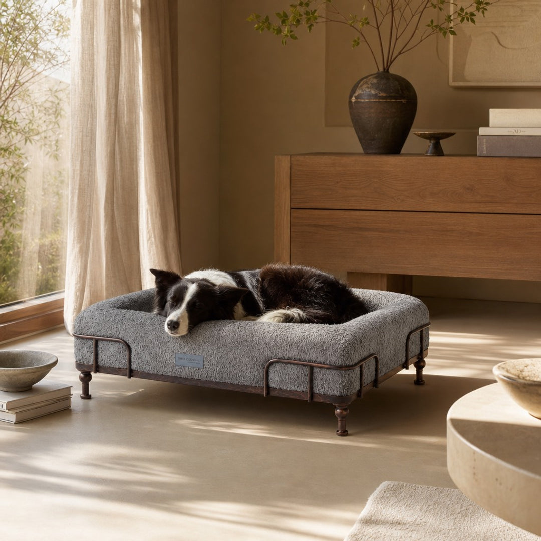 Donna's Pet Boutique Facebook ad: El producto favorito del público ya está de…