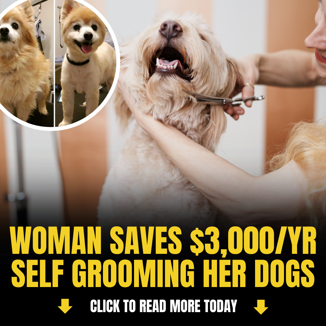 Shelley The Dog Groomer Facebook ad