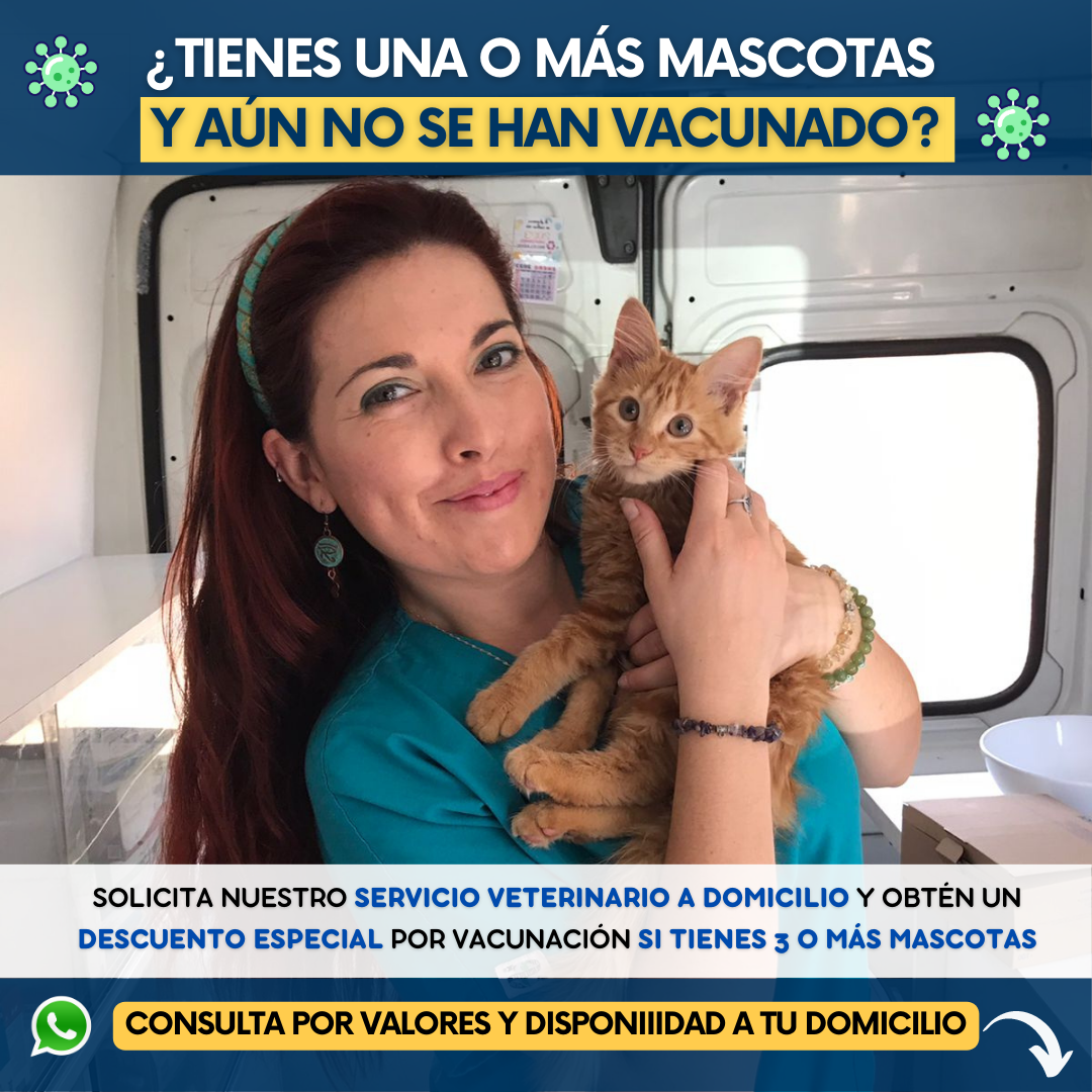 Animal Grace - Veterinaria Móvil Facebook ad: Consulta Valores y Descuentos Aquí