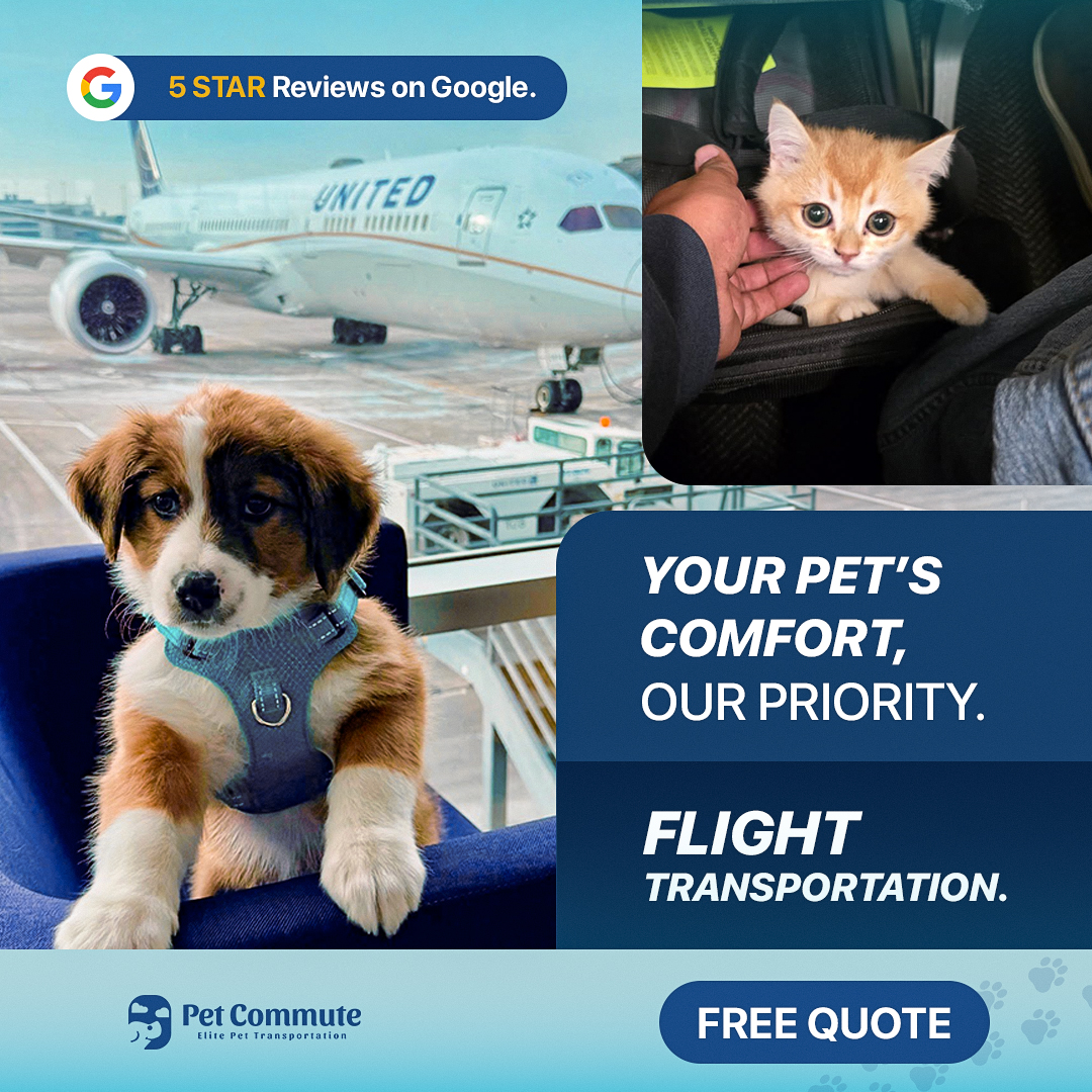 petcommute Facebook ad