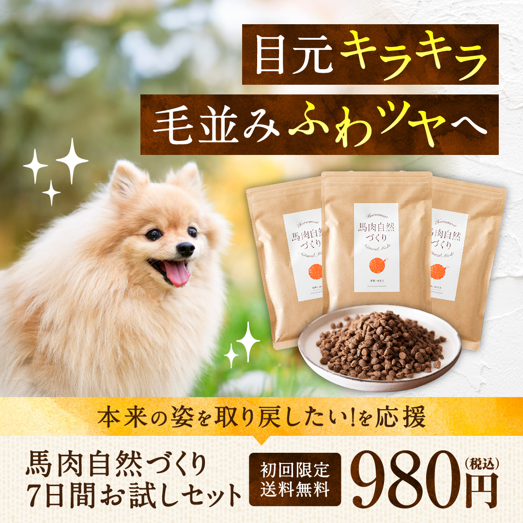 健康いぬ生活 Facebook ad