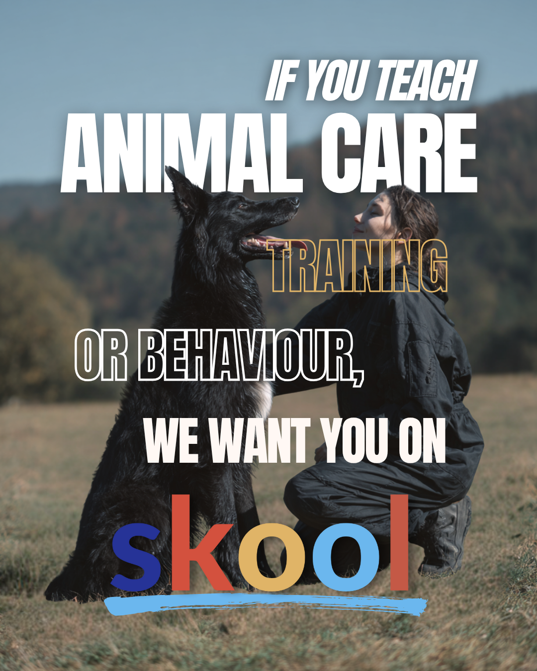 Skool Facebook ad