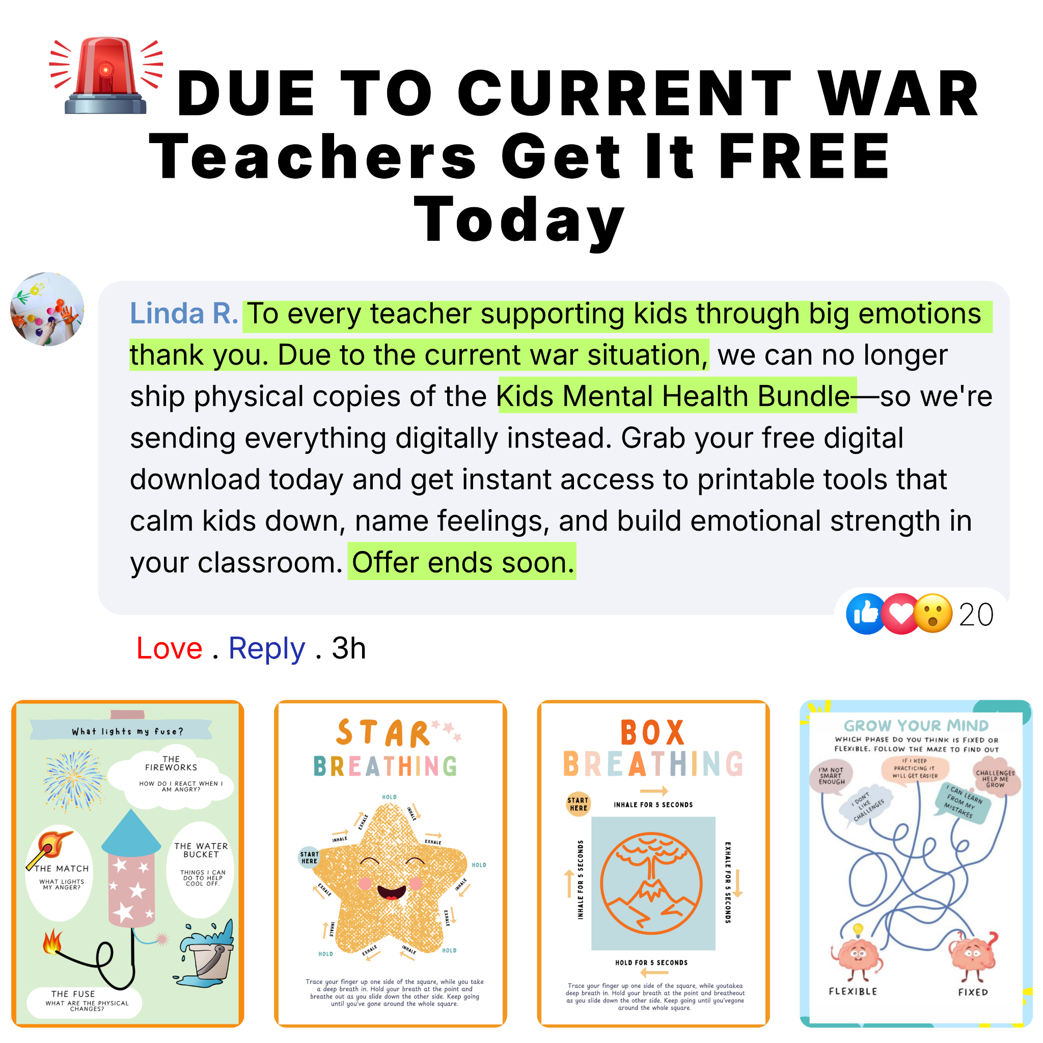 MiniMinds Facebook ad