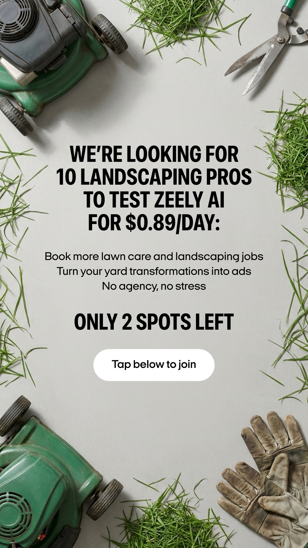 Zeely: Grow Sales with AI Facebook ad