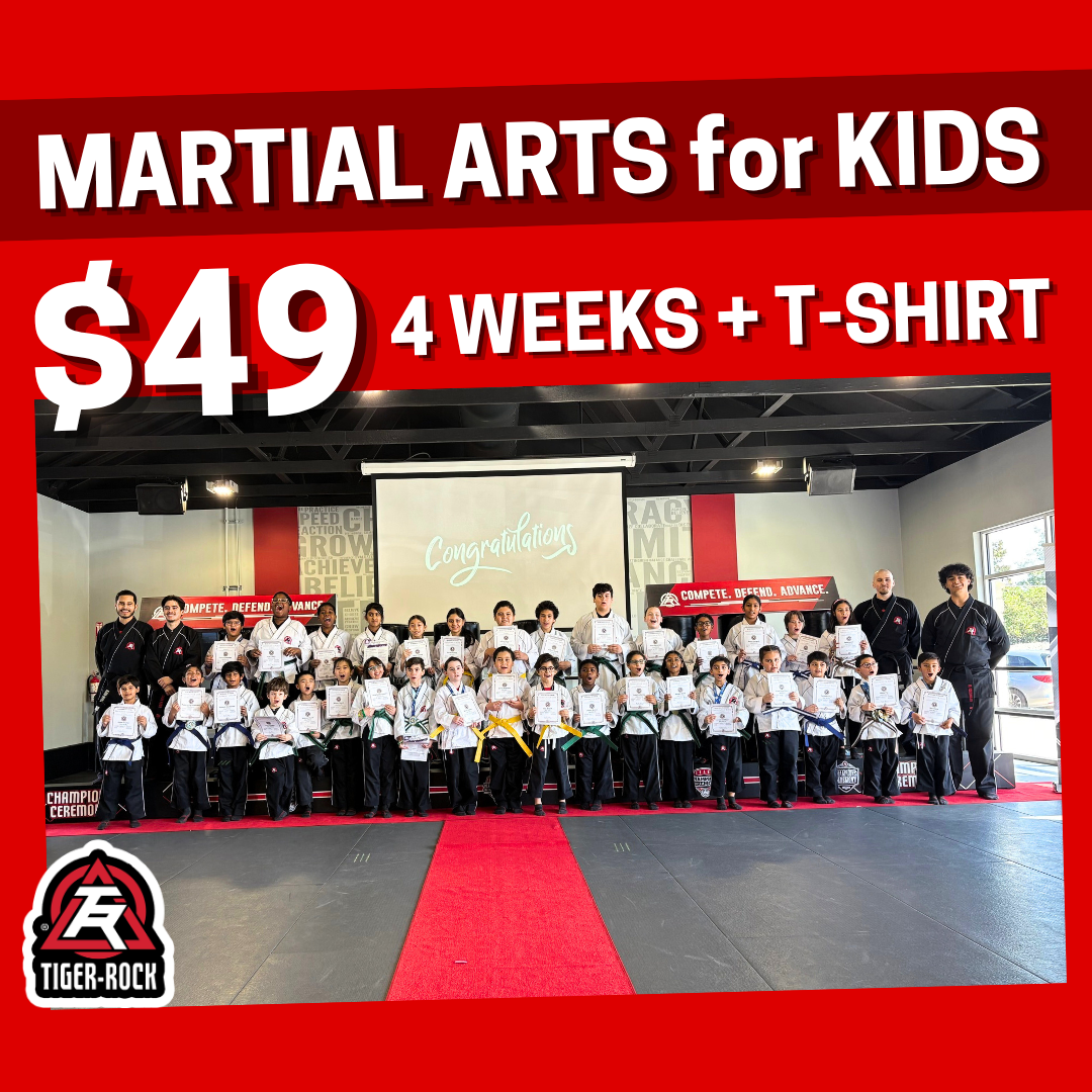Tiger Rock Martial Arts of Katy South Facebook ad