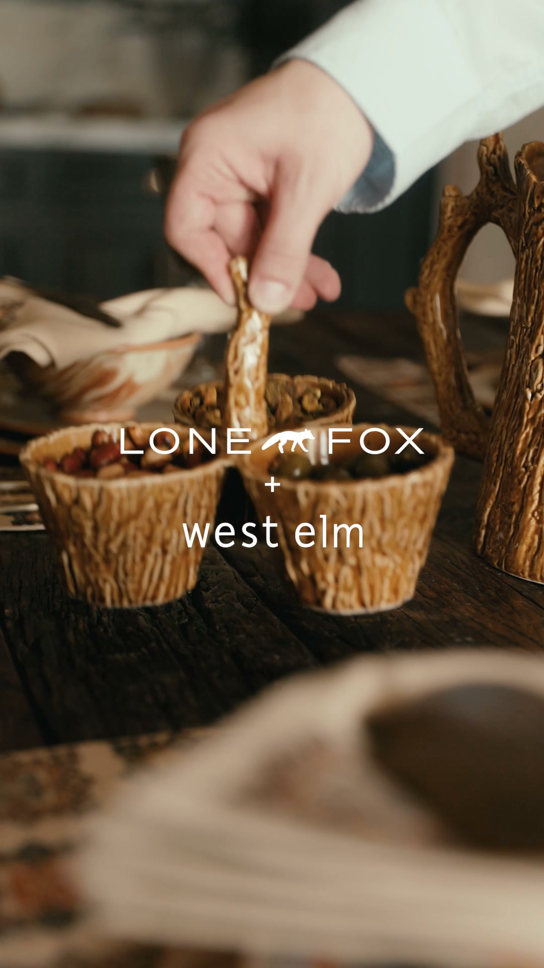 West Elm Facebook ad: Lone Fox + West Elm