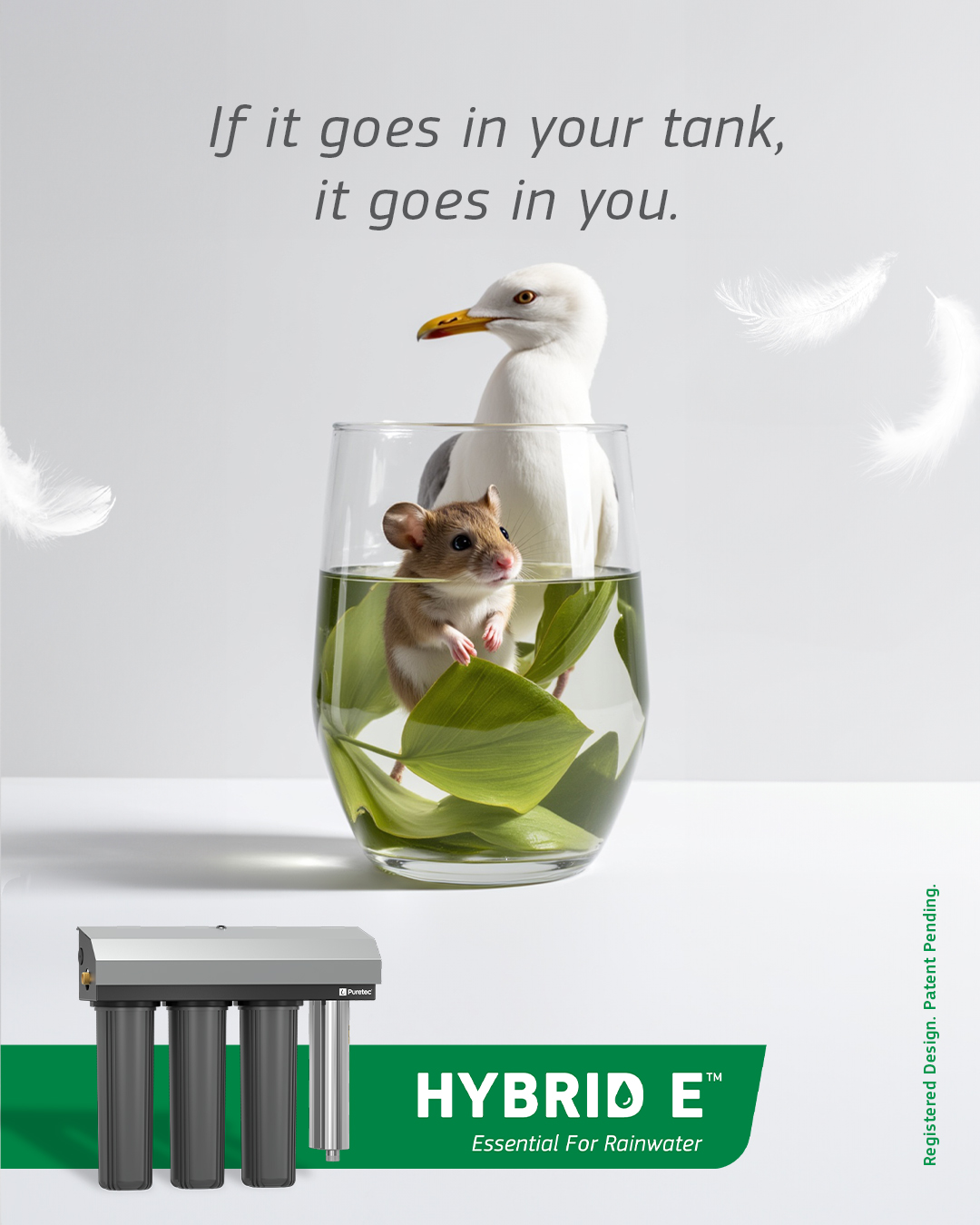 Puretec Group Facebook ad