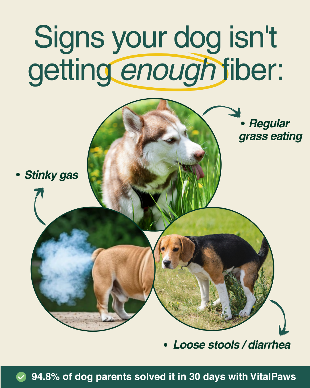 VitalPaws US Facebook ad: NOW 40% OFF!