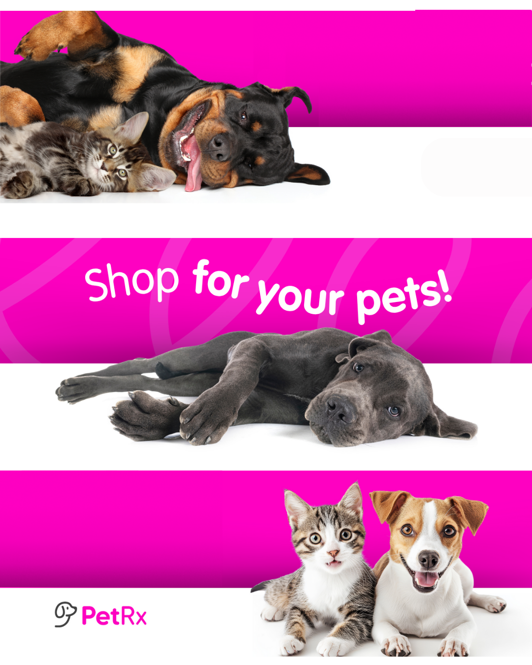 PetRx.com Facebook ad