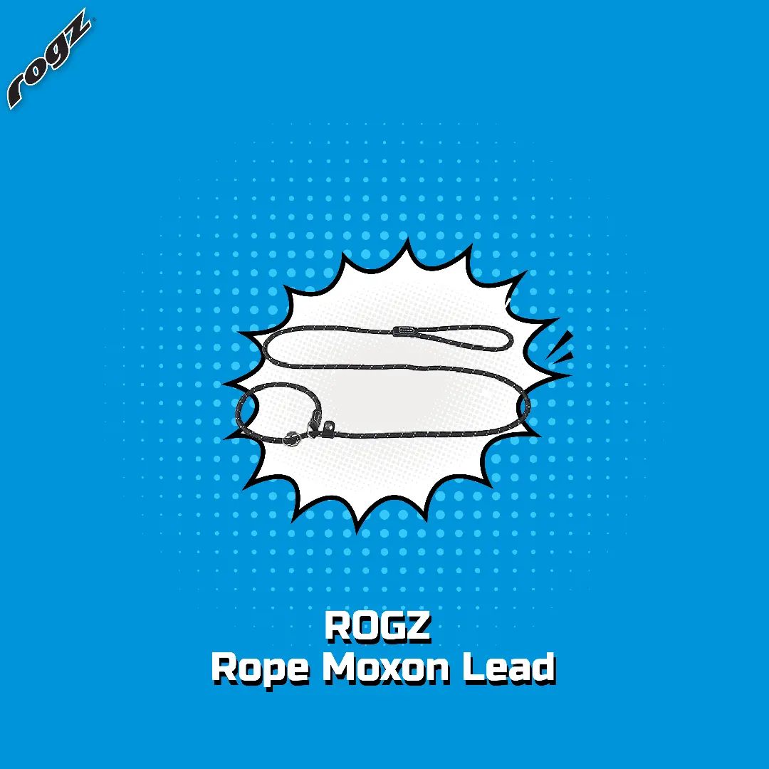 Rogz Facebook ad: Ini dia Rope Moxon Lead, lead keren buat…