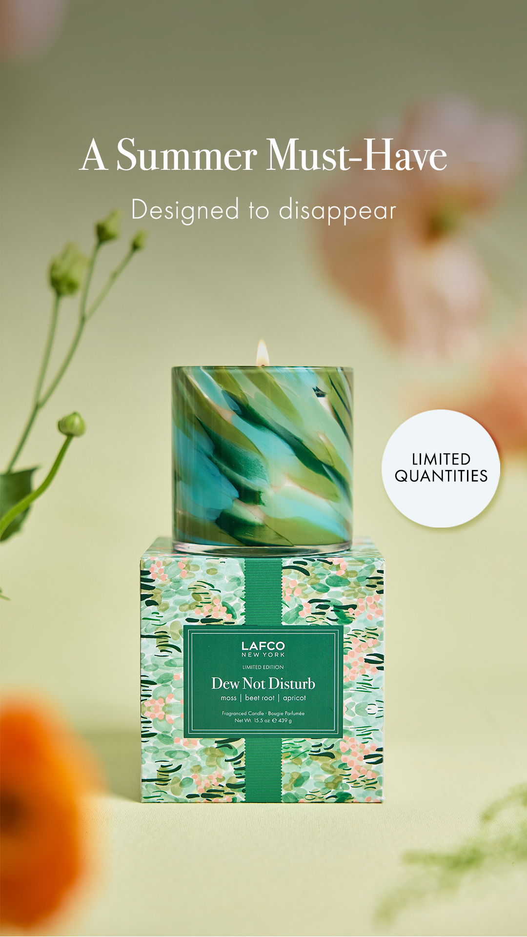 LAFCO New York Facebook ad
