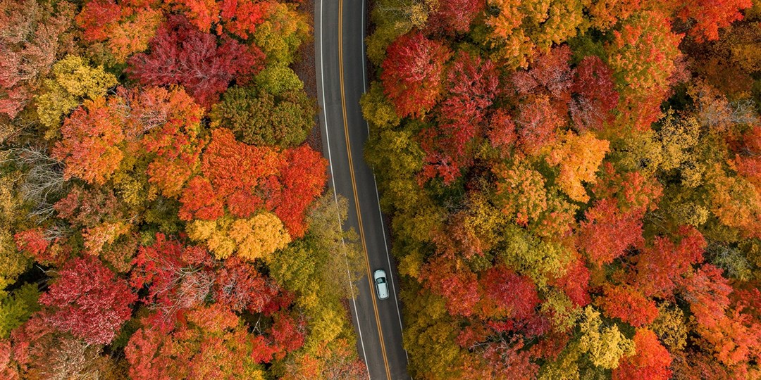 Travelzoo Facebook ad: Where to look for West Virginia's heavenly fall foliage