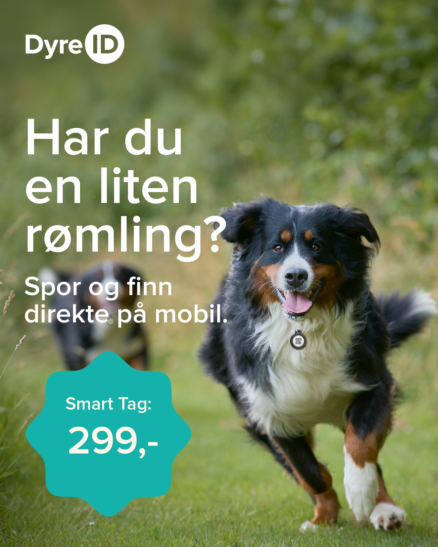 DyreID Facebook ad from Aug 13, 2026
