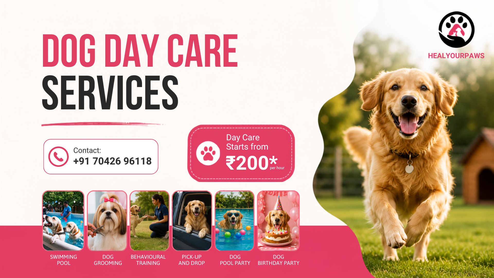 Healyourpaws Facebook ad