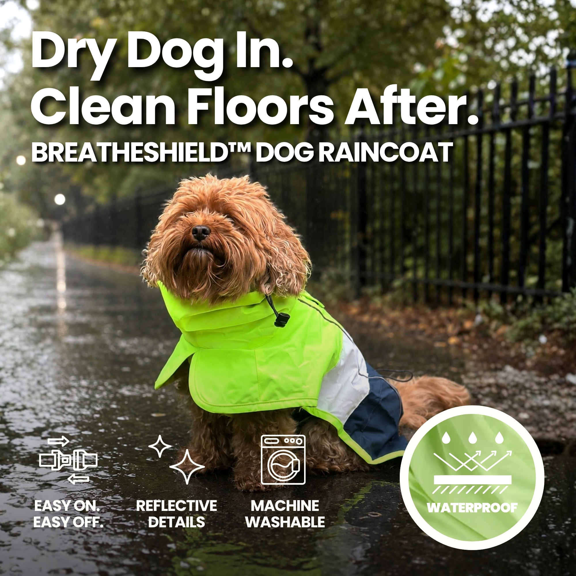 Spark Paws Facebook ad