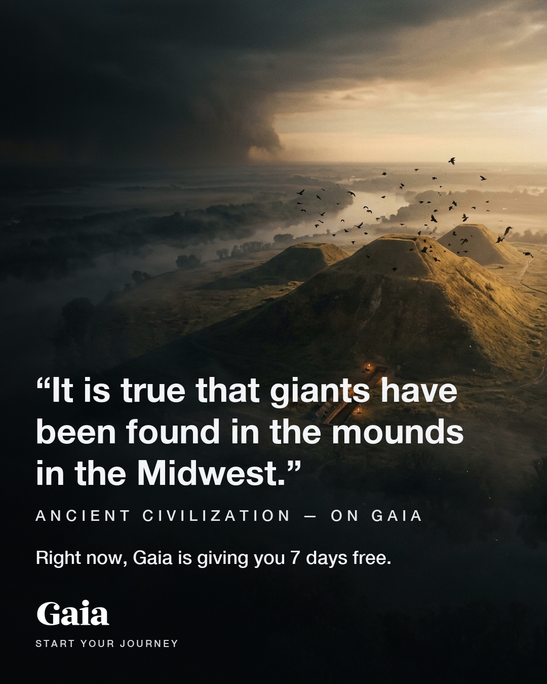 Gaia Facebook ad