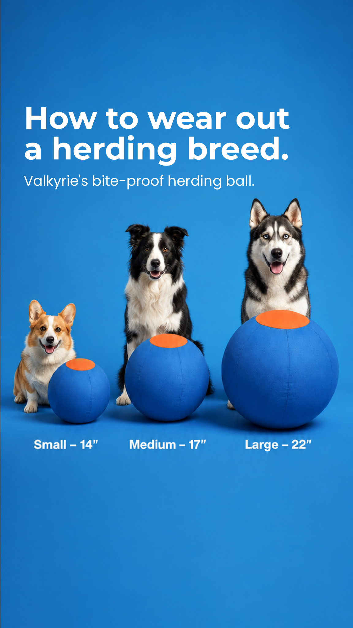 Valkyrie Facebook ad