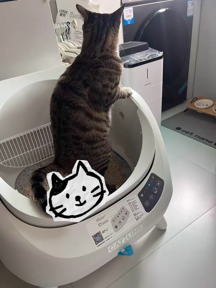Catlink EU Facebook ad