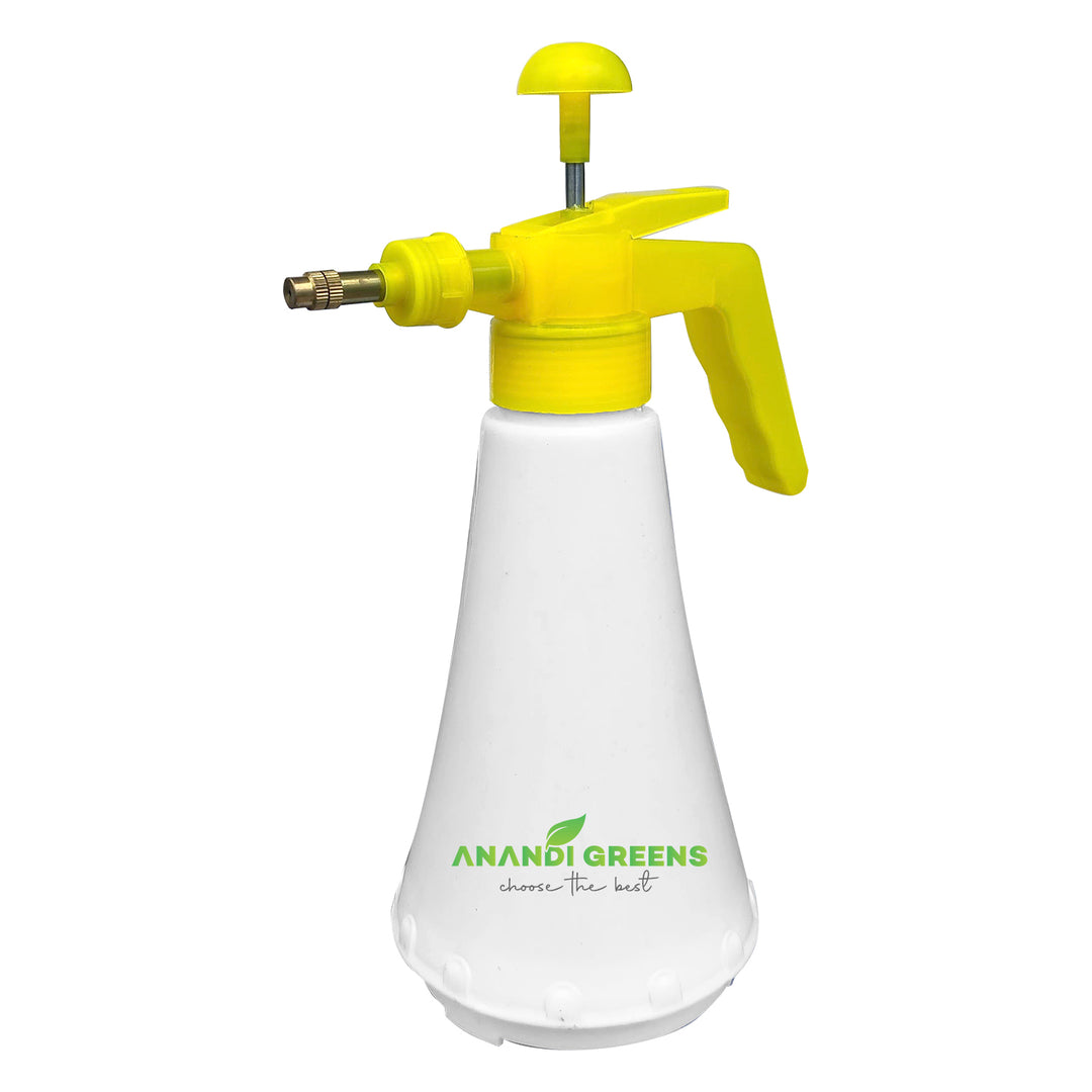 Anandi Green's Facebook ad