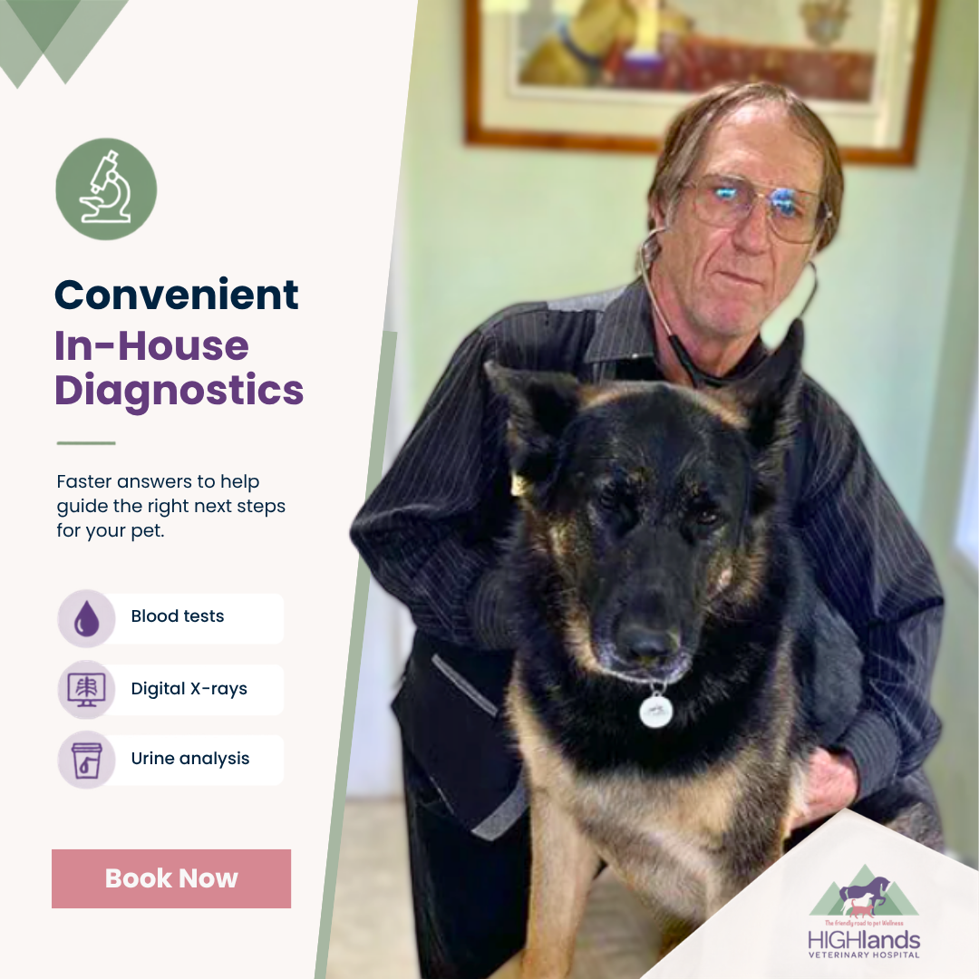 Highlands Veterinary Hospital Facebook ad: Looking for a vet hospital that takes the…