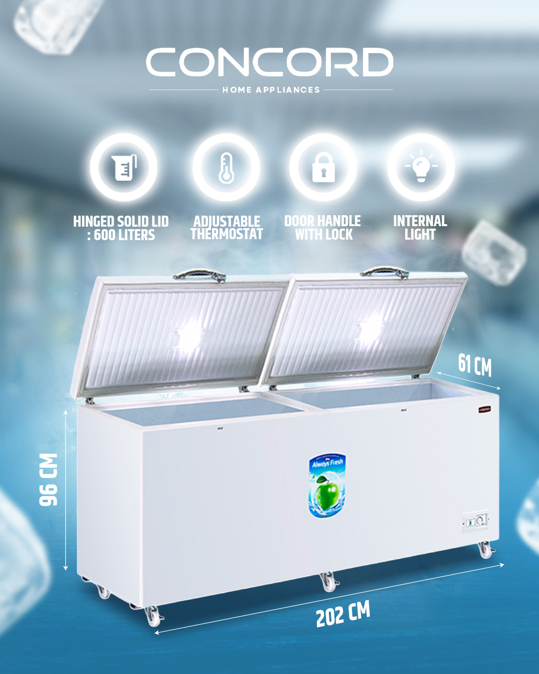 Concord Online Store Facebook ad