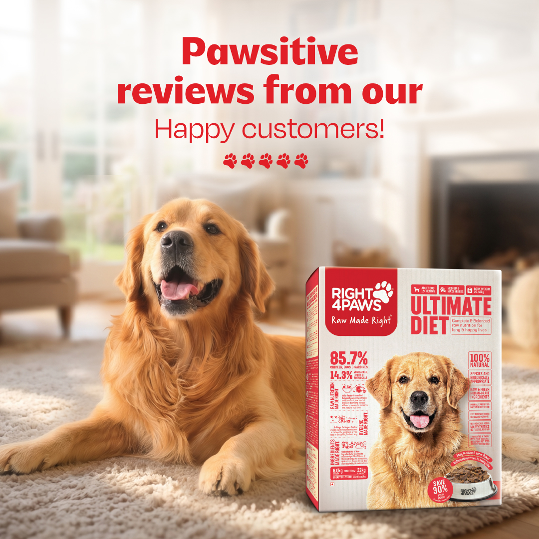 Right4pawsofficial Facebook ad: What are dog parents saying after trying Right4Paws?