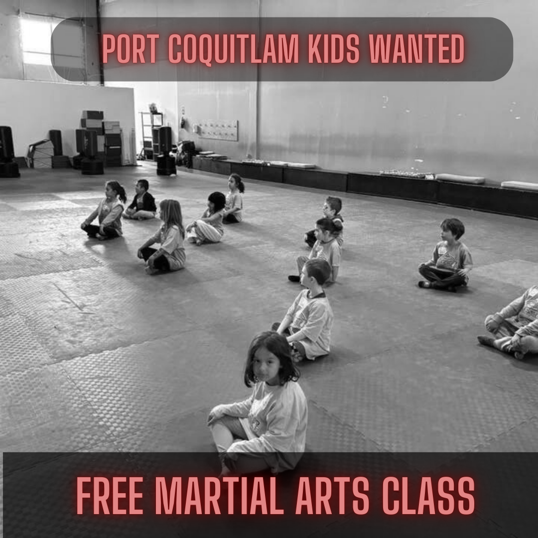 Personal Best Martial Arts Facebook ad: FREE DAY PASS