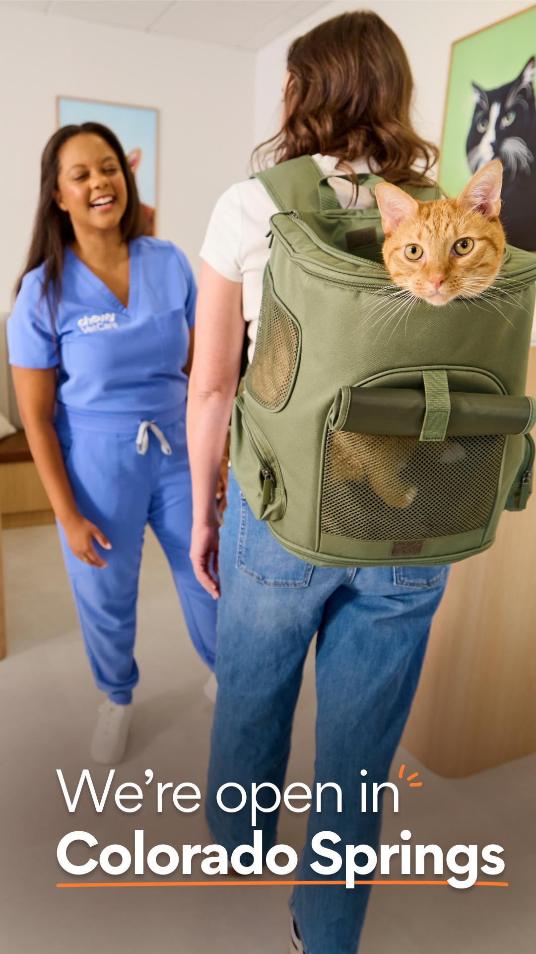 Chewy Vet Care Facebook ad