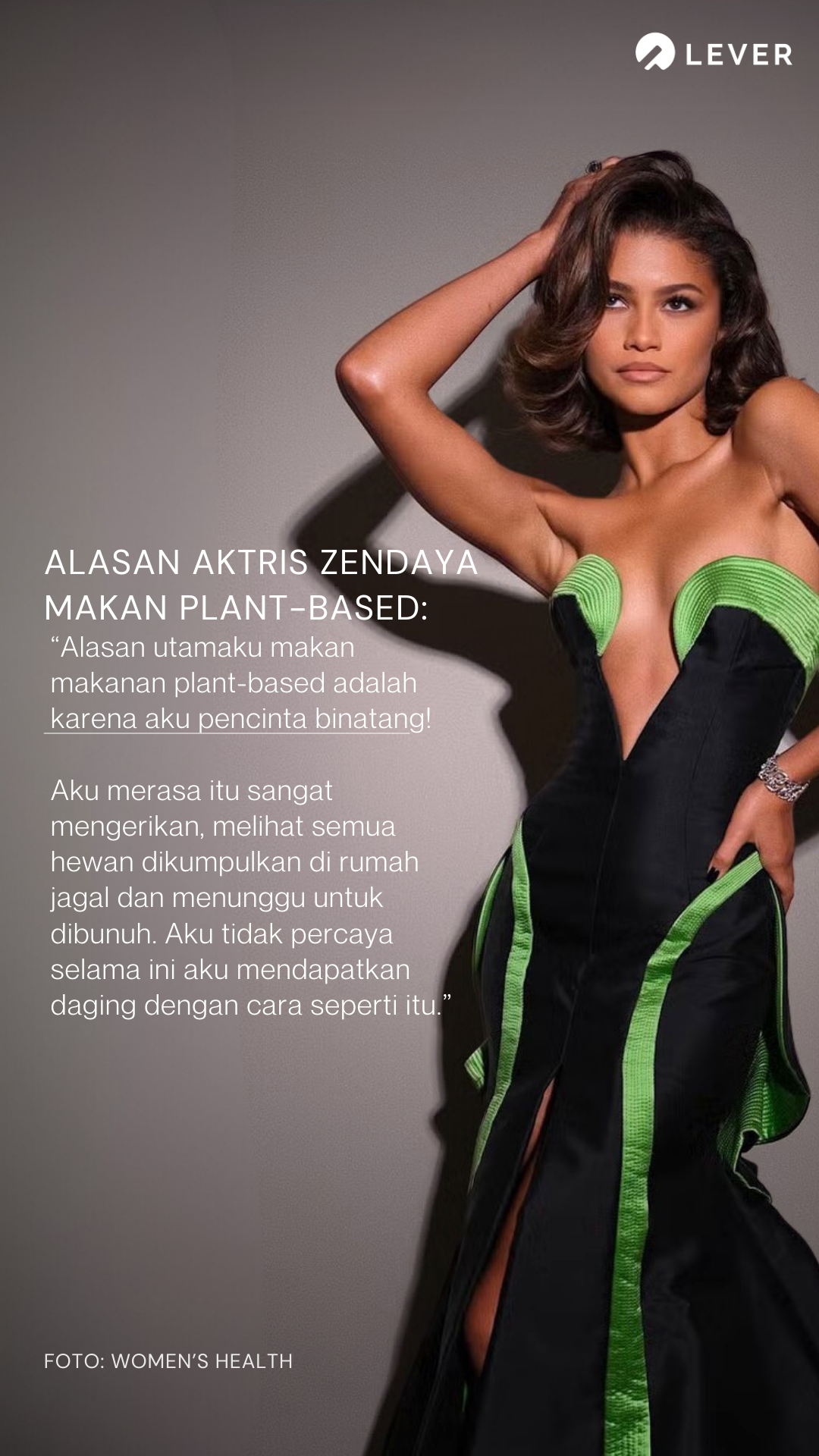 Lever Foundation Indonesia Facebook ad