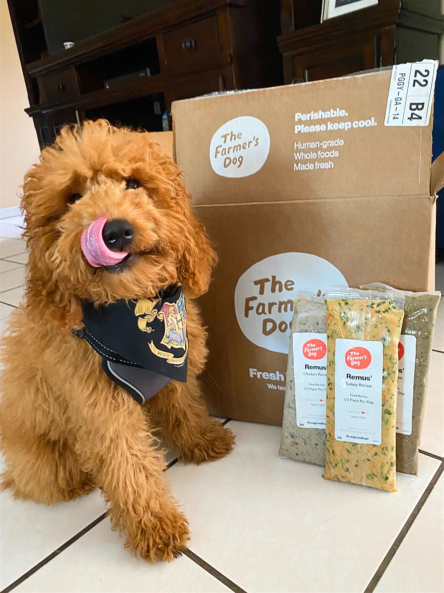 The Farmer's Dog Facebook ad