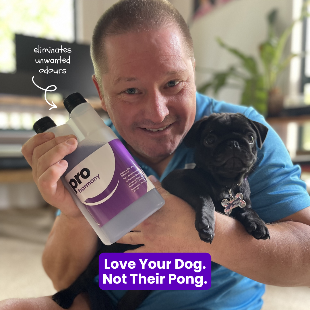 Clean Like a Pro Facebook ad