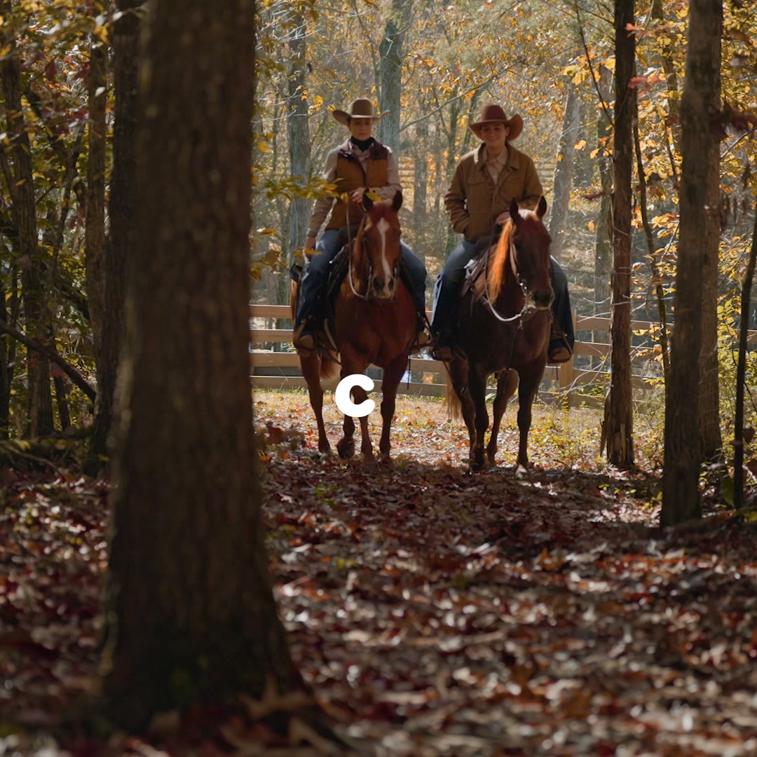 Chewy Facebook ad: Seasonal horse care