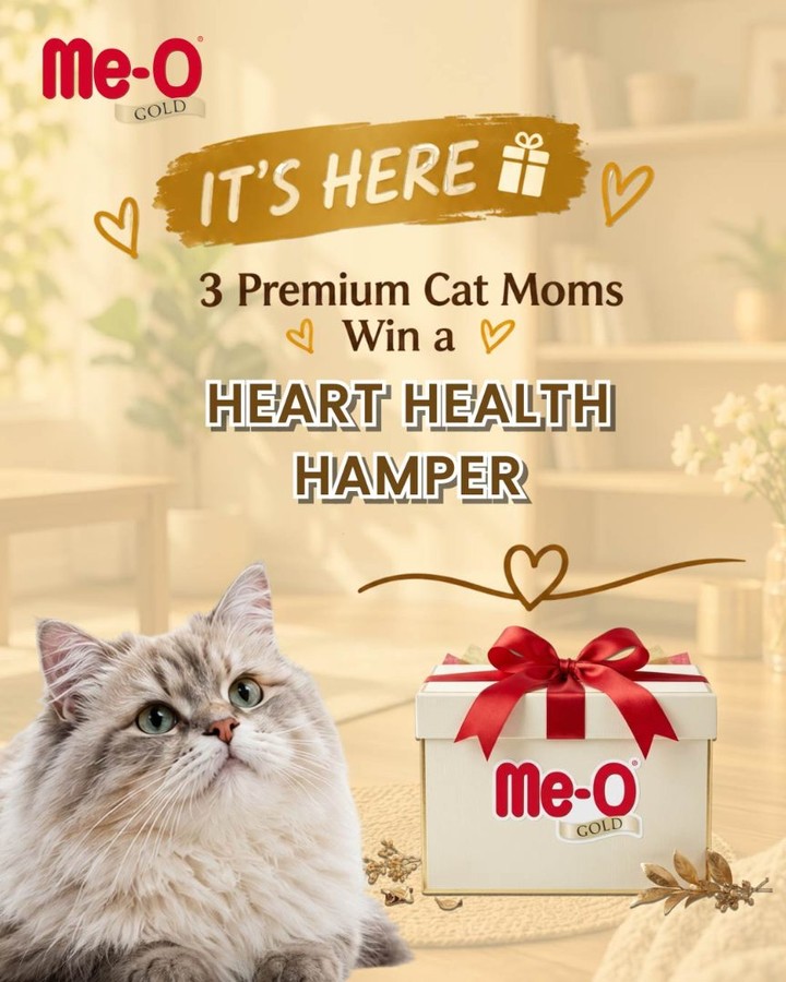 Me-O Gold India Facebook ad: Because the cats who receive the finest care…