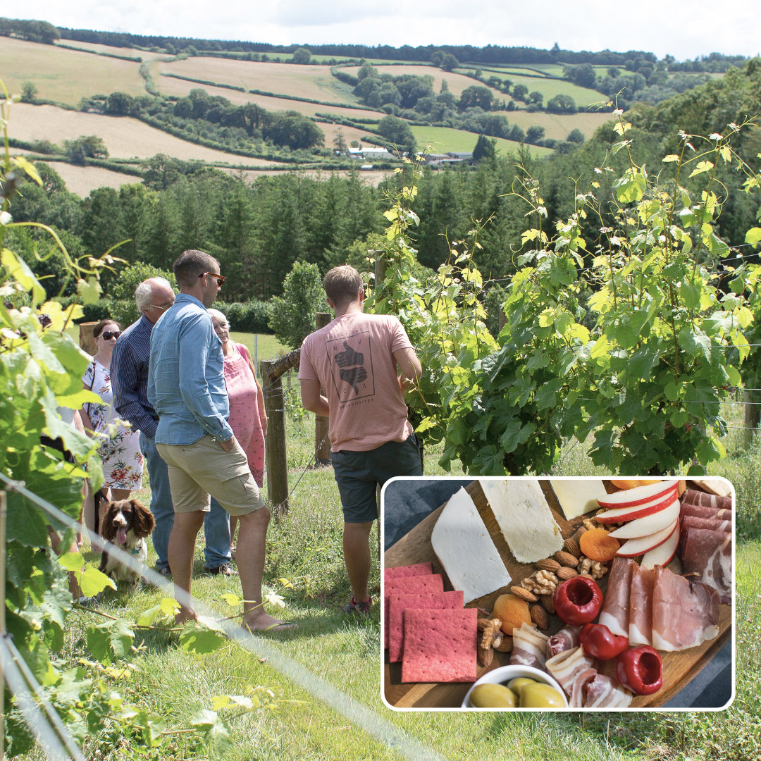Alder Vineyard Facebook ad: Looking for a unique gift experience?