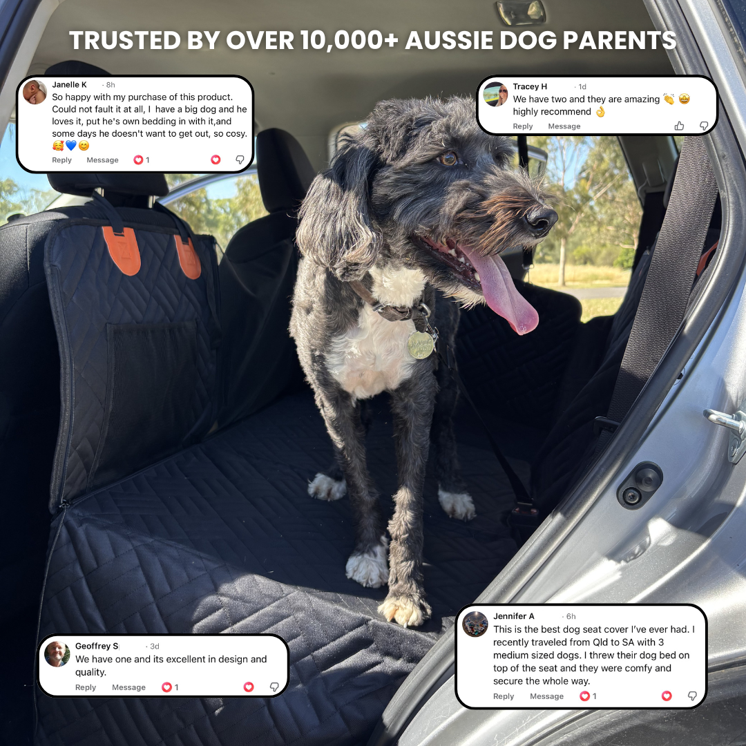 PupQuest Facebook ad: Limited Time Offer $99 Today Only!