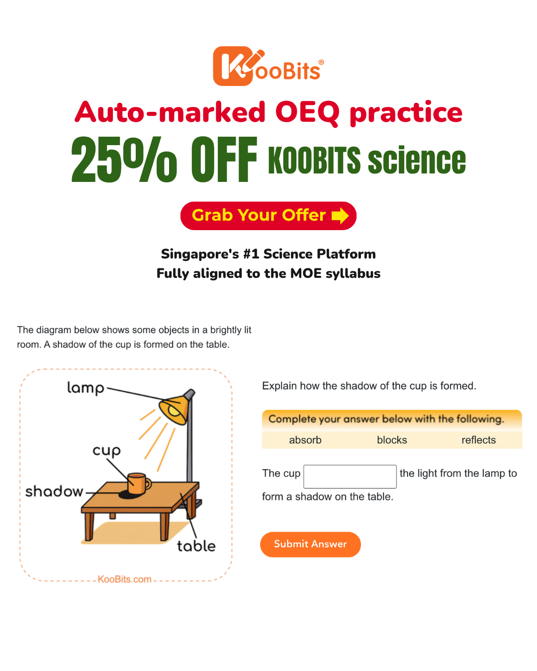 KooBits Facebook ad: Try KooBits Science for Free Today and get 25% OFF