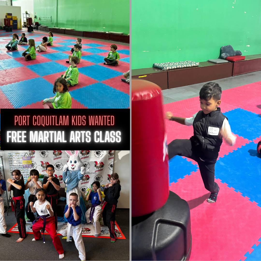 Personal Best Martial Arts Facebook ad: FREE DAY PASS