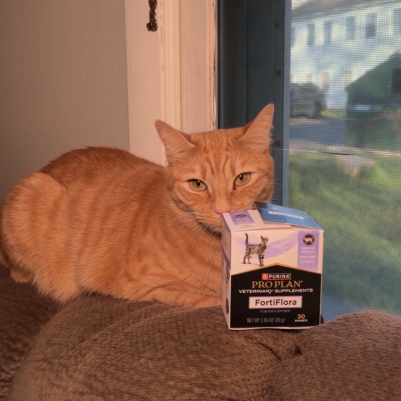 Purina Pro Plan Vet Facebook ad