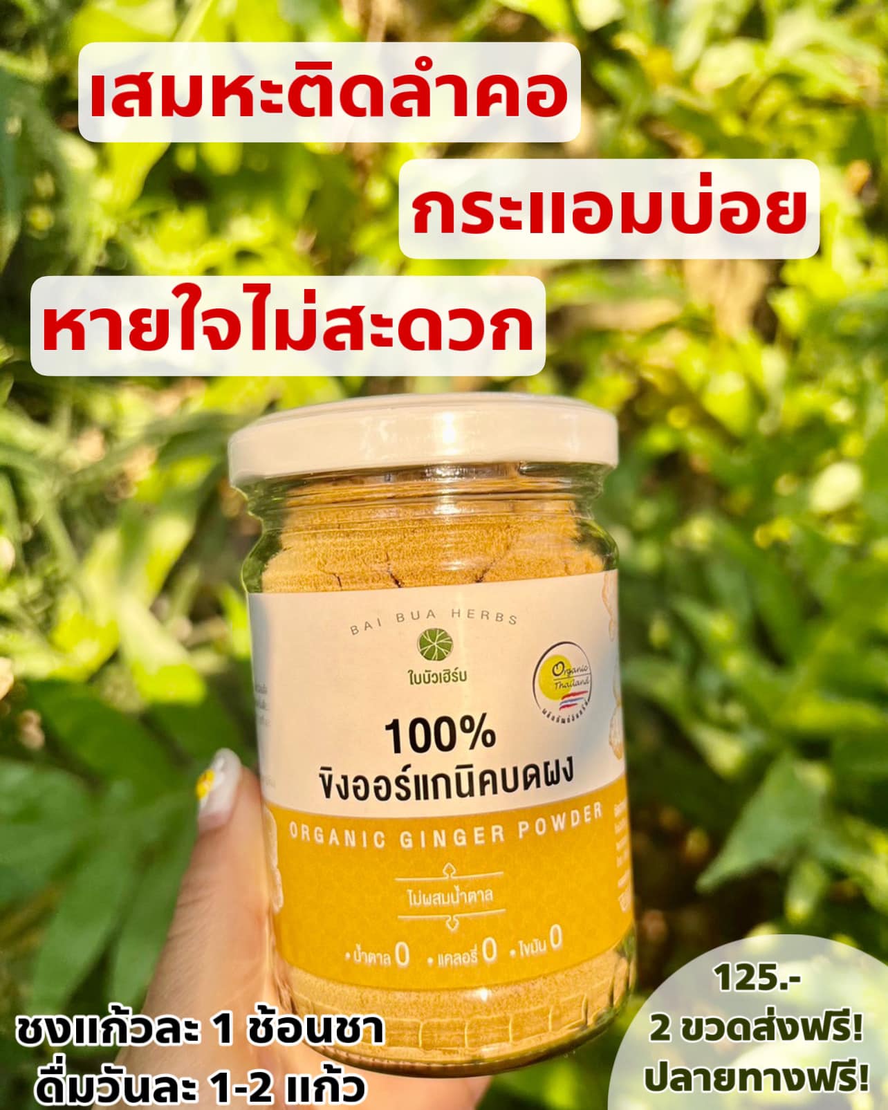 ใบบัวเฮิร์บ ขิงผงออร์แกนิค ปลีก/ส่ง Facebook ad: >> หายใจไม่สุด เสมหะข้น เป็นหวัด ปวดหัวไมเกรน เลือดลมไม่ดี…
